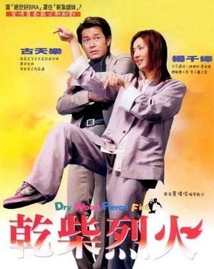 Gon Chaai Lit Feng (2002) - poster