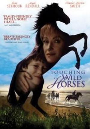 Touching Wild Horses (2002) - poster