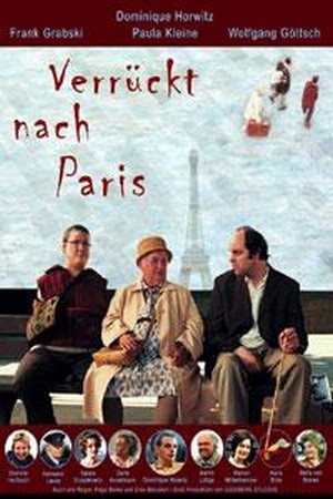 Verrückt nach Paris (2002) - poster