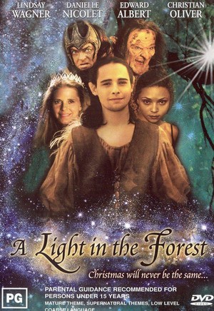 A Light in the Forest (2003) - poster