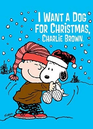 I Want a Dog for Christmas, Charlie Brown (2003) - poster