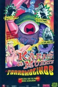 Kárate a Muerte en Torremolinos (2003) - poster