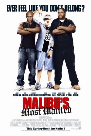 Malibu's Most Wanted (2003) - poster