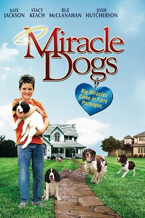 Miracle Dogs (2003) - poster