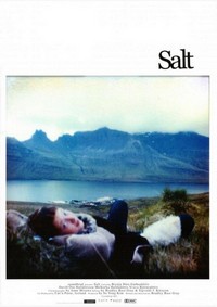 Salt (2003) - poster