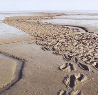 Sporen in het Wad (2003) - poster