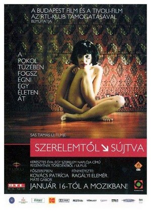 Szerelemtöl Sújtva (2003) - poster