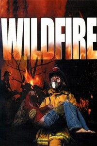 Wild Fire (2003) - poster