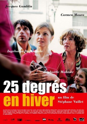25 Degrés en Hiver (2004) - poster