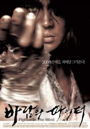 Baramui Fighter (2004) - poster