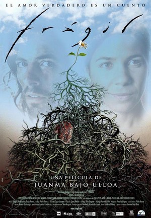 Frágil (2004) - poster