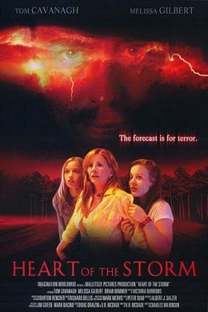 Heart of the Storm (2004) - poster