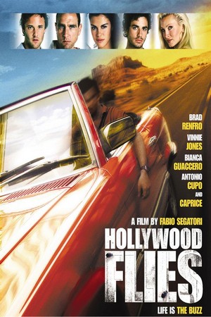 Hollywood Flies (2004) - poster