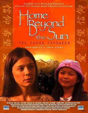Home beyond the Sun (2004) - poster