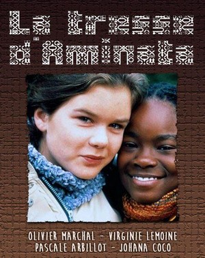 La Tresse d'Aminata (2004) - poster