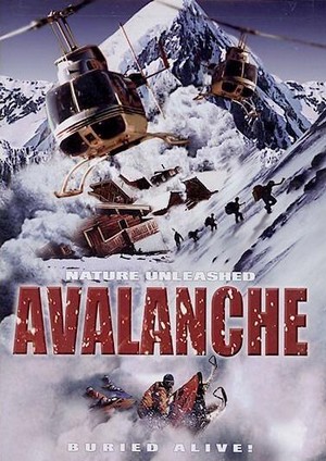 Nature Unleashed: Avalanche (2004) - poster
