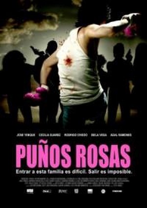 Puños Rosas (2004) - poster