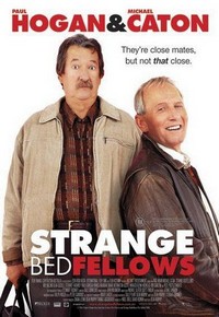 Strange Bedfellows (2004) - poster