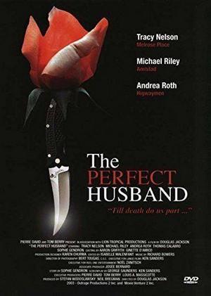 The Perfect Husband (2004) - poster