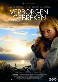 Verborgen Gebreken (2004) - poster