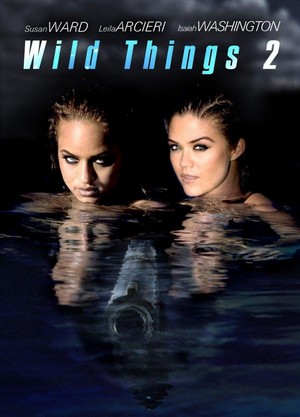 Wild Things 2 (2004) - poster