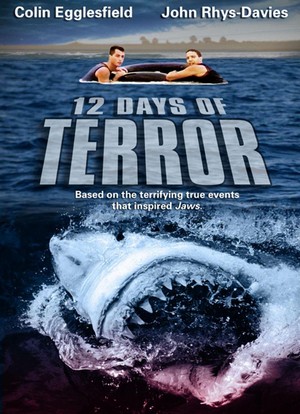 12 Days of Terror (2005) - poster