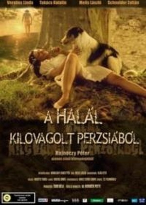 A Halál Kilovagolt Perzsiából (2005) - poster