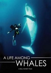 A Life among Whales (2005) - poster