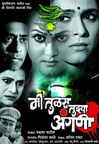 Mee Tulas Tujhya Angani (2005) - poster