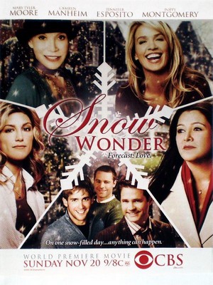 Snow Wonder (2005) - poster