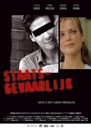 Staatsgevaarlijk (2005) - poster