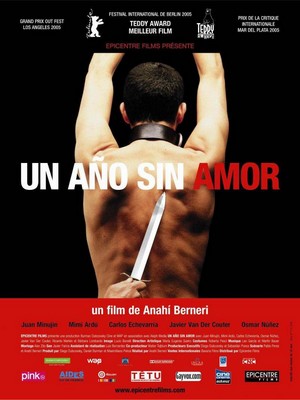 Un Año sin Amor (2005) - poster
