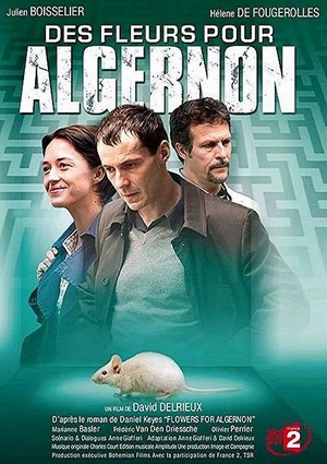 Des Fleurs pour Algernon (2006) - poster
