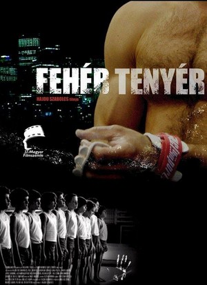 Fehér Tenyér (2006) - poster