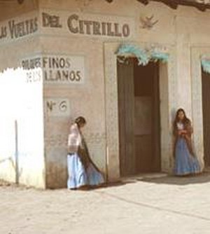 Las Vueltas del Citrillo (2006) - poster