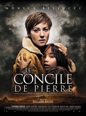 Le Concile de Pierre (2006) - poster