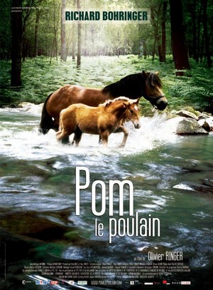 Pom, le Poulain (2006) - poster