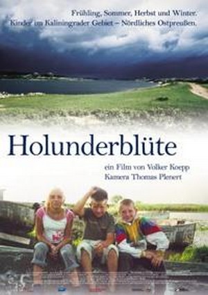 Holunderblüte (2007) - poster