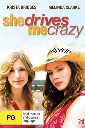 She Drives Me Crazy (2007) - poster
