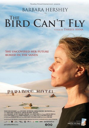 The Bird Can't Fly (2007) - poster