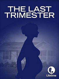 The Last Trimester (2007) - poster