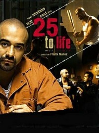 25 to Life (2008) - poster