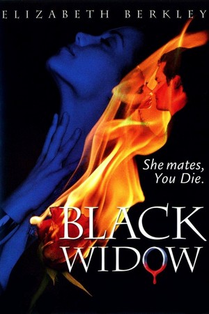 Black Widow (2008) - poster