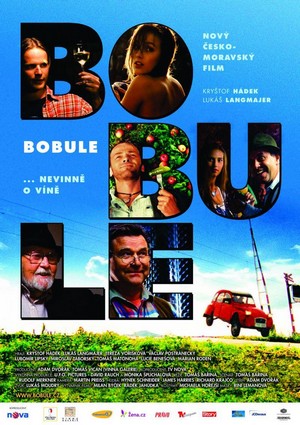 Bobule (2008) - poster