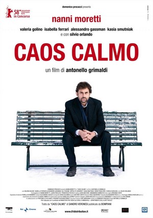 Caos Calmo (2008) - poster