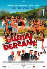 Çilgin Dersane Kampta (2008) - poster