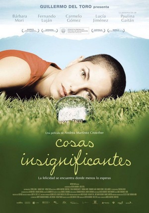 Cosas Insignificantes (2008) - poster