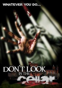 Don't Look in the Cellar (2008) - poster