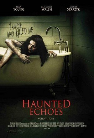 Haunted Echoes (2008) - poster
