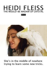 Heidi Fleiss: The Would-Be Madam of Crystal (2008) - poster